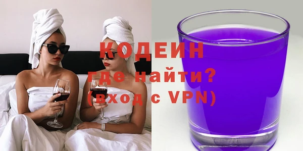 гашик Алексин