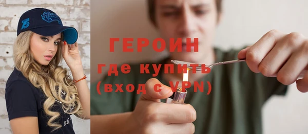 гашик Алексин