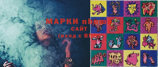 гашик Алексин