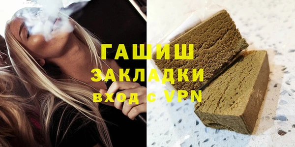 гашик Алексин