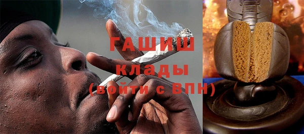 гашик Алексин