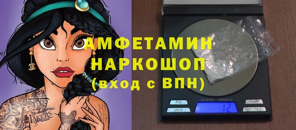 гашик Алексин