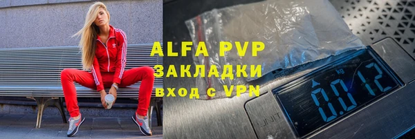 гашик Алексин