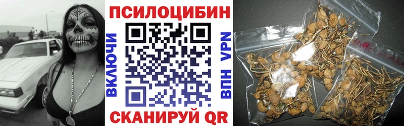 Галлюциногенные грибы Cubensis Коркино