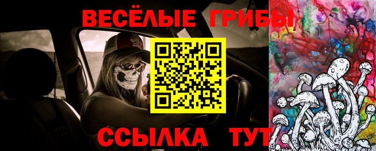 Псилоцибиновые грибы Cubensis  Вход с VPN  Псилоцибиновые грибы мухоморы  Коркино 
